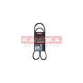 Curea transmisie caneluri KAMOKA 7016065
