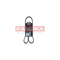 Curea transmisie caneluri KAMOKA 7016066