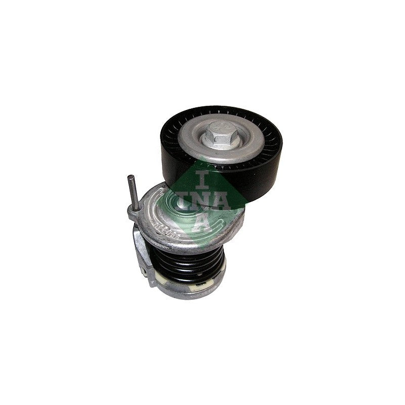 Intinzator curea accesorii INA 534 0164 10