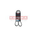 Curea transmisie caneluri KAMOKA 7016068