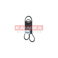 Curea transmisie caneluri KAMOKA 7016073