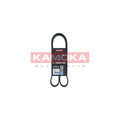 Curea transmisie caneluri KAMOKA 7016074