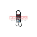 Curea transmisie caneluri KAMOKA 7016077