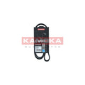 Curea transmisie caneluri KAMOKA 7016092