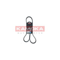 Curea transmisie caneluri KAMOKA 7016107