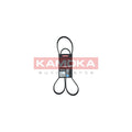 Curea transmisie caneluri KAMOKA 7016110