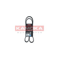 Curea transmisie caneluri KAMOKA 7016084