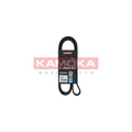 Curea transmisie caneluri KAMOKA 7016130
