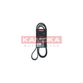 Curea transmisie caneluri KAMOKA 7016149