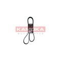 Curea transmisie caneluri KAMOKA 7016151