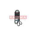 Curea transmisie caneluri KAMOKA 7016156