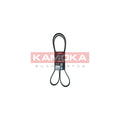 Curea transmisie caneluri KAMOKA 7016157