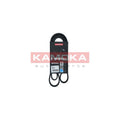Curea transmisie caneluri KAMOKA 7016161