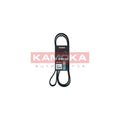 Curea transmisie caneluri KAMOKA 7016164