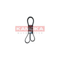 Curea transmisie caneluri KAMOKA 7016171
