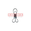 Curea transmisie caneluri KAMOKA 7016175