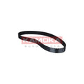 Curea distributie KAMOKA 7000019