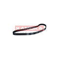 Curea distributie KAMOKA 7000025