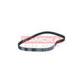 Curea distributie KAMOKA 7000029