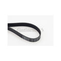 Curea transmisie caneluri CONTINENTAL CTAM 7PK1165