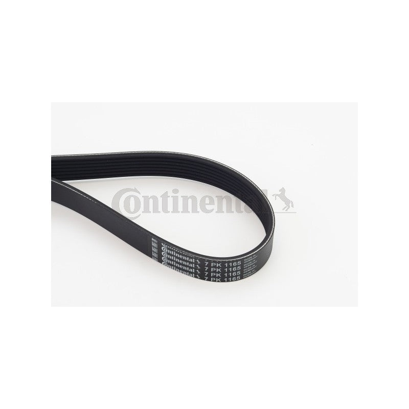 Curea transmisie caneluri CONTINENTAL CTAM 7PK1165