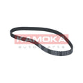 Curea distributie KAMOKA 7000050