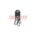 Curea transmisie caneluri KAMOKA 7016168