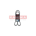 Curea transmisie caneluri KAMOKA 7016089
