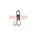 Curea transmisie caneluri KAMOKA 7016155