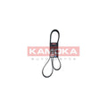 Curea transmisie caneluri KAMOKA 7016165