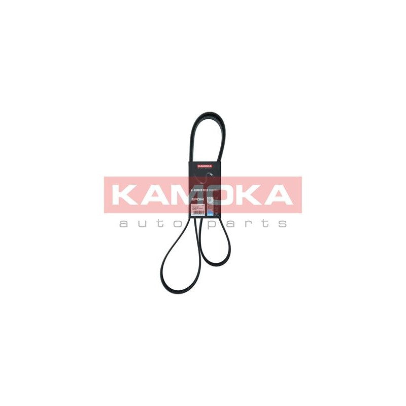 Curea transmisie caneluri KAMOKA 7016165