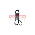 Curea transmisie caneluri KAMOKA 7016205