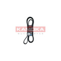 Curea transmisie caneluri KAMOKA 7016213