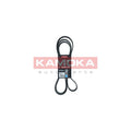 Curea transmisie caneluri KAMOKA 7016215