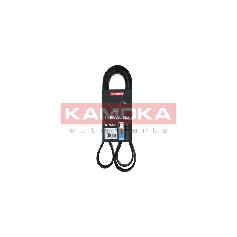 Curea transmisie caneluri KAMOKA 7016217