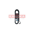 Curea transmisie caneluri KAMOKA 7016222