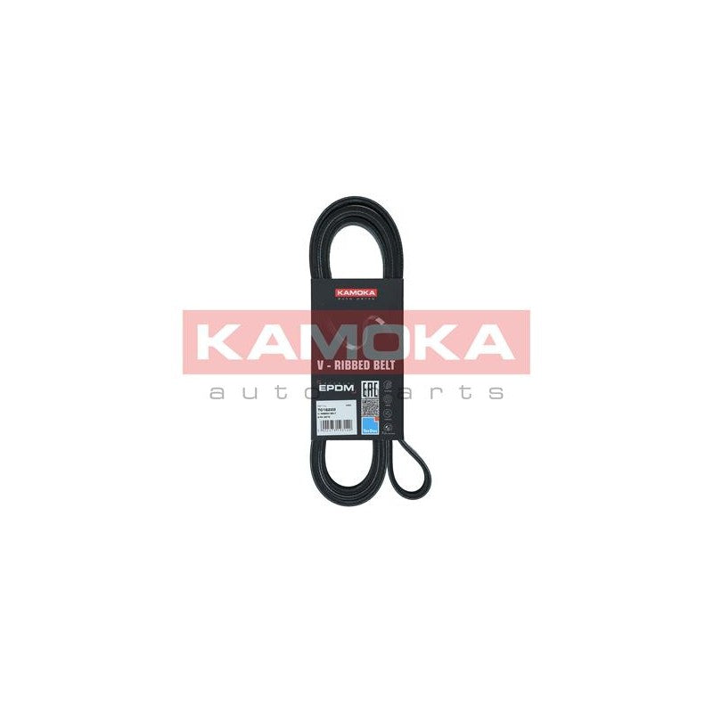 Curea transmisie caneluri KAMOKA 7016222
