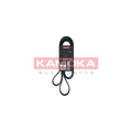 Curea transmisie caneluri KAMOKA 7016225