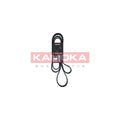 Curea transmisie caneluri KAMOKA 7016242