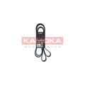 Curea transmisie caneluri KAMOKA 7016243