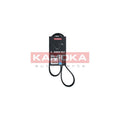 Curea transmisie caneluri KAMOKA 7017003