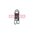 Curea transmisie caneluri KAMOKA 7017005