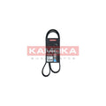 Curea transmisie caneluri KAMOKA 7017008