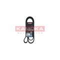 Curea transmisie caneluri KAMOKA 7017018