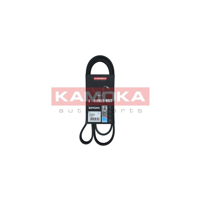 Curea transmisie caneluri KAMOKA 7017018