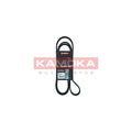 Curea transmisie caneluri KAMOKA 7017028