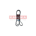 Curea transmisie caneluri KAMOKA 7017042