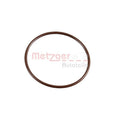 Garnitura supapa EGR METZGER 2430097
