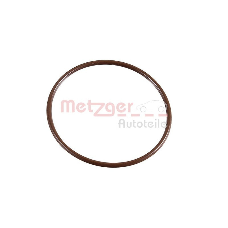 Garnitura supapa EGR METZGER 2430097