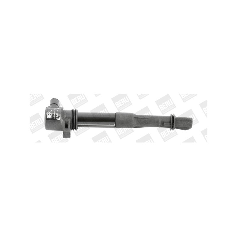 Bobina inductie BorgWarner (BERU) ZS320
